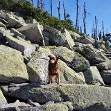 29.09.2018 Steinernes Meer im bayrischem Wald